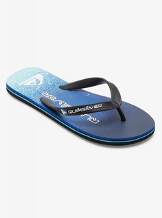 Мужские сланцы Molokai Art Quiksilver