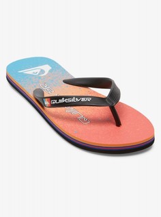 Мужские сланцы Molokai Art Quiksilver