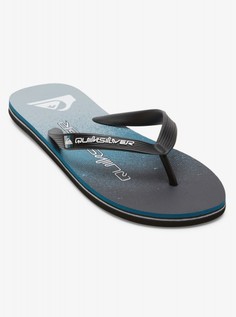 Мужские сланцы Molokai Art Quiksilver