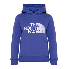 Подростковая худи Drew Peak Hoodie The North Face