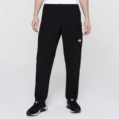 Мужские брюки Anticli Pant The North Face