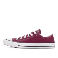 Кеды Chuck Taylor All Star Seasonal Converse