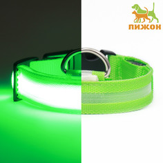 Ошейник с подсветкой, зарядка от usb, размер xs, ош 28-38 см, 3 режима, зеленый Пижон