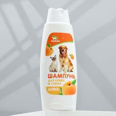 Шампунь Пижон