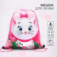 Мешок для обуви 420*330 мм, коты аристократы Disney