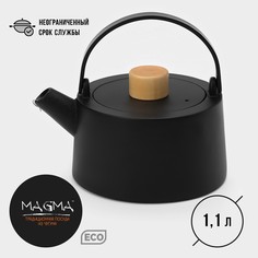 Чайник чугунный с эмалированным покрытием внутри magma