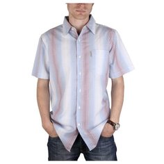 Рубашка Maestro, размер 50-52/L, мультиколор