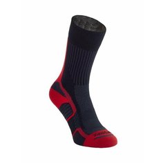 Носки Accapi, размер 34, черный, красный