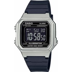 Наручные часы CASIO Collection, черный, серебряный