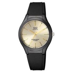 Наручные часы Q&Q
