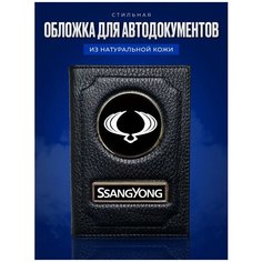 Обложка для автодокументов AUTO-OBLOZHKA, черный