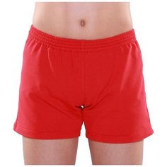 Шорты SAPSAN, размер 48, красный