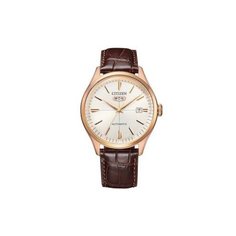 Наручные часы CITIZEN NH8393-05A, золотой, серебряный