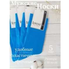 Носки LorenzLine, 5 пар, размер 41/42, голубой