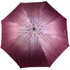 Зонт-трость ЭВРИКА подарки и удивительные вещи, красный