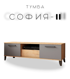 Тумба напольная под ТВ София №2, дуб крафт золотой/графит No Brand