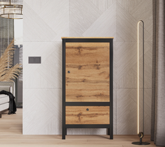 Шкаф БРВ МЕБЕЛЬ Loft REG1D1S/60 (Дуб вотан/Черный) Black Red White