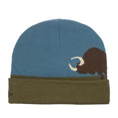 Шапка бини унисекс Stetson 8599119 BEANIE BUFFALO синяя/зеленая, one size