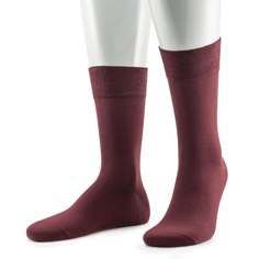 Носки мужские Sergio di Calze 33969-10 бордовые 39-41