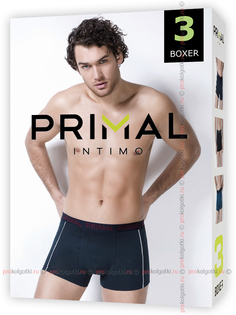 Комплект трусов мужских Primal 80602-10 разноцветных XL