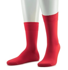 Носки мужские Sergio di Calze 33969-10 красные 43-45