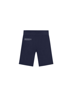Спортивные шорты унисекс PANGAIA 261 синие S