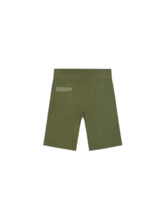 Спортивные шорты унисекс PANGAIA 261 зеленые XL