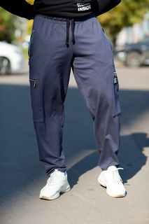 Спортивные брюки мужские INFERNO style Б-008-000 серые 3XL