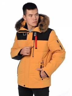 Зимняя куртка мужская Shark Force 3973 желтая 56 RU