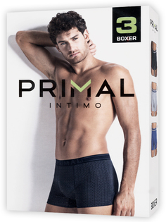 Комплект трусов мужских Primal 80593-10 разноцветных S