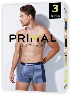 Комплект трусов мужских Primal 80989-10 разноцветных M