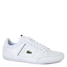 Кеды мужские Lacoste CMA0014 CHAYMON 0121 1 белые 44.5 EU