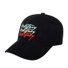 Бейсболка унисекс AMERICAN NEEDLE 20001A-WHITNEY черная one size