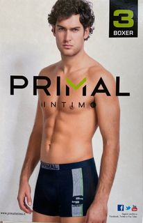 Трусы мужские Primal 80987-10 разноцветные L