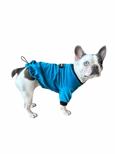 Толстовка для собак FORBULLDOGY, S, унисекс, бирюзовый, хлопок, эластан, длина спины 31 см
