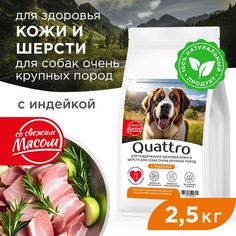 Сухой корм для собак QUATTRO, Большие породы премиум, для кожи и шерсти, индейка, 2,5 кг