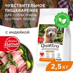 Сухой корм для собак QUATTRO, Большие породы премиум, для пищеварения, индейка, 2,5 кг