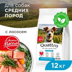 Сухой корм для собак QUATTRO, Для взрослых, Средние породы премиум, лосось, 12 кг
