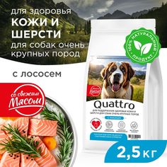 Сухой корм для собак QUATTRO, Большие породы премиум, для кожи и шерсти, лосось, 2,5 кг