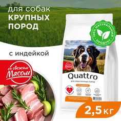 Сухой корм для собак QUATTRO, Для взрослых, Крупные породы премиум, индейка, 2,5 кг