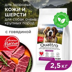 Сухой корм для собак QUATTRO, Большие породы премиум, для кожи и шерсти, говядина, 2,5 кг