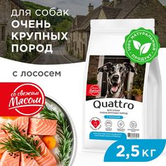 Сухой корм для собак QUATTRO, Для взрослых, Большие породы премиум, лосось, 2,5 кг