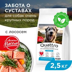 Сухой корм для собак QUATTRO, Большие породы премиум, забота о суставах, лосось, 2,5 кг
