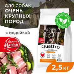 Сухой корм для собак QUATTRO, Для взрослых, Большие породы премиум, индейка, 2,5 кг