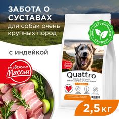 Сухой корм для собак QUATTRO, Большие породы премиум, забота о суставах, индейка, 2,5 кг