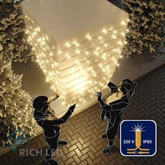 Гирлянда Нить RL-S10CF-220V-CGd RL-S10CF-220V-CGd/WW Rich Led