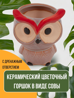 Горшок для цветов Сова 1009452 6.5х7.8 см коричневый 1 шт, керамика No Brand