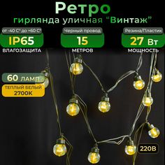 Гирлянда ретро TEAMPROF 15 м, 60 ламп, теплый белый, черный провод, IP65, 220в Familyled
