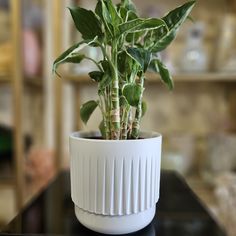 Горшок для цветов ArAs Flowers Бетта Цвет - Белый, 1,4 л., 1 шт.