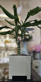 Стильный горшок для цветов ArAs Flowers Нард 2,1 светло-серый, 1 шт.